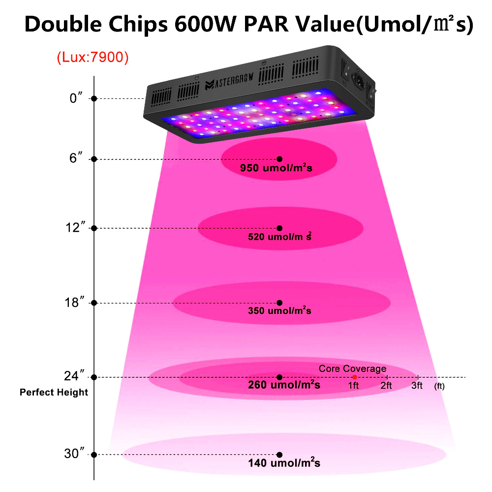 LED Grow Light 600/800/900/100 - đánh giá và giá Grow Tent Complete Kit