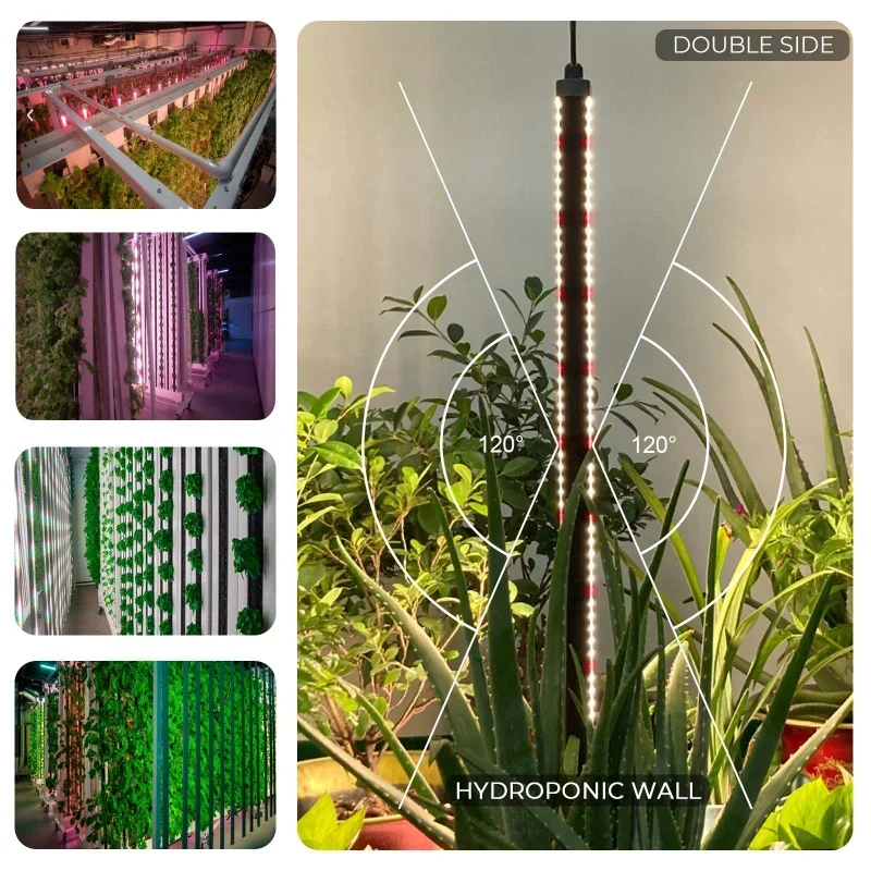 lm301h lm301b hydroponic full  - đánh giá và giá Led Plant Light Strip