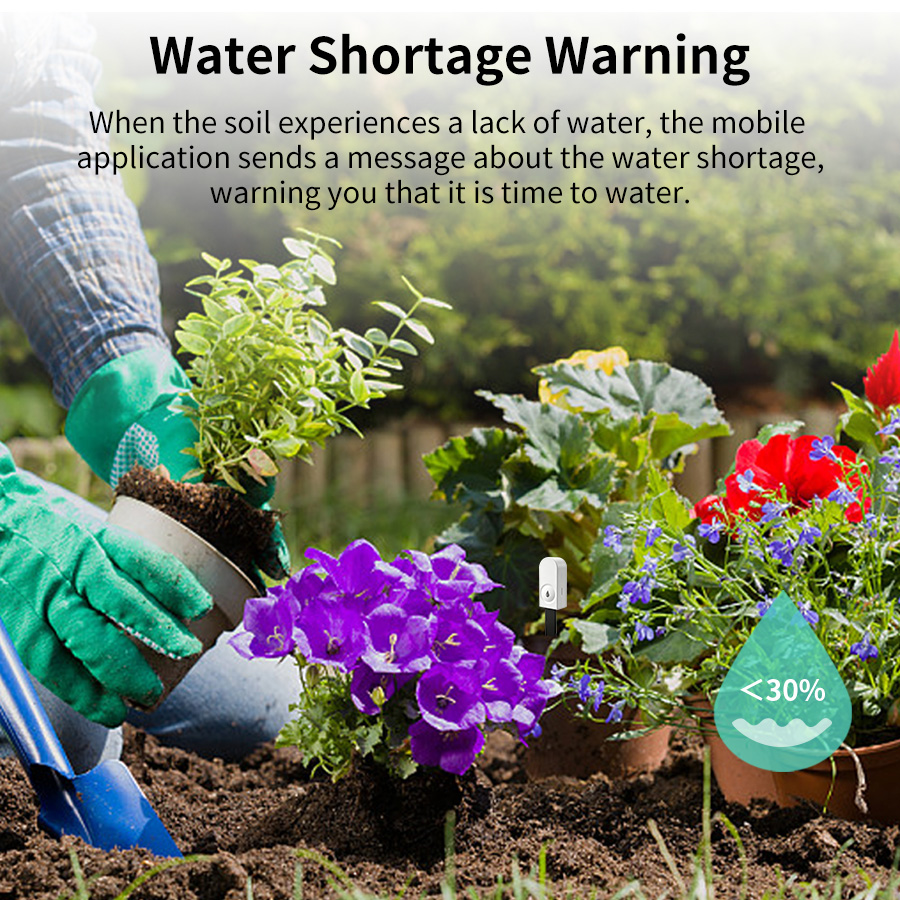Smart ZigBee Soil Moisture Sen - đánh giá và giá App Smart Garden