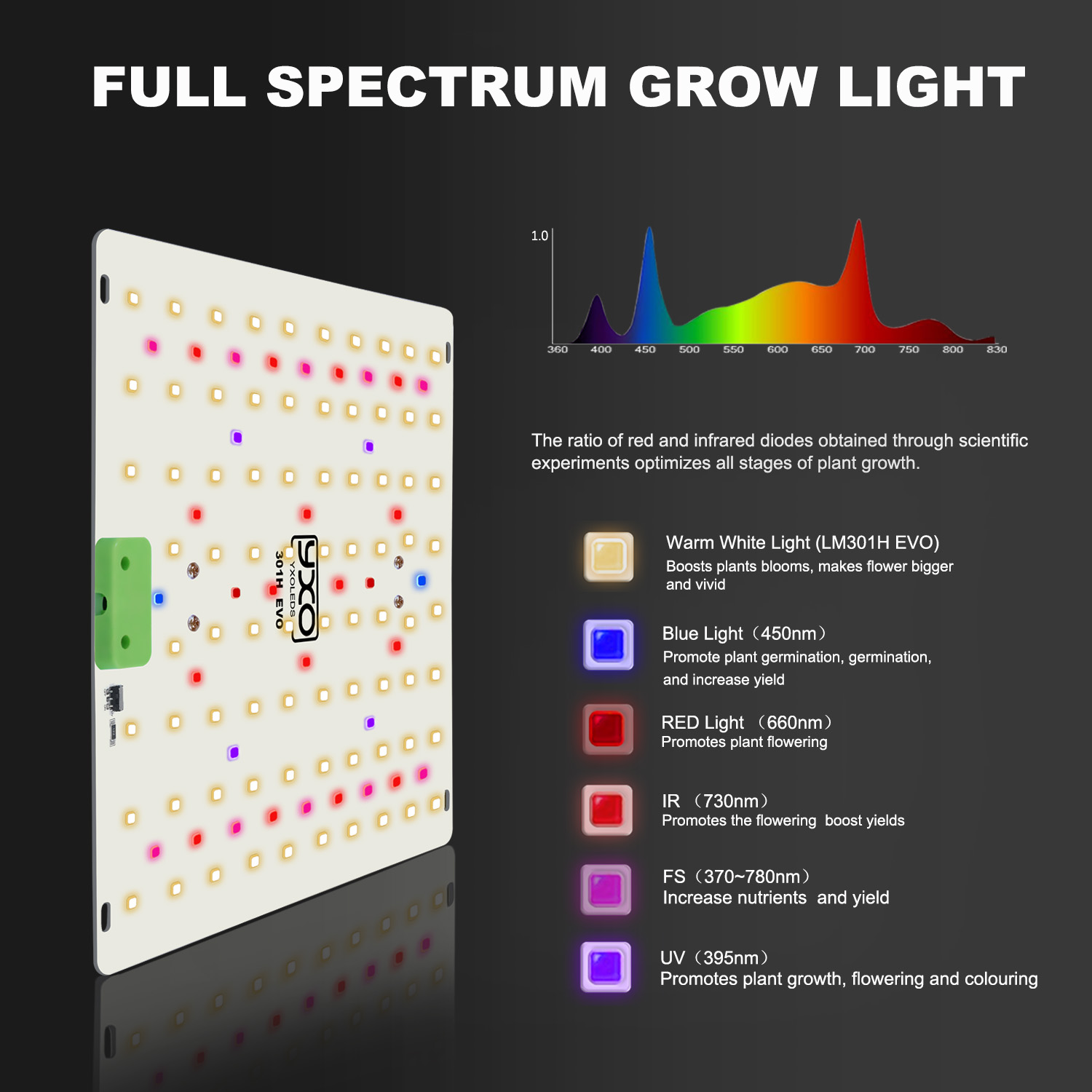 85W 180W LM301H EVO Quantum LE - đánh giá và giá Grow Tent Complete Kit