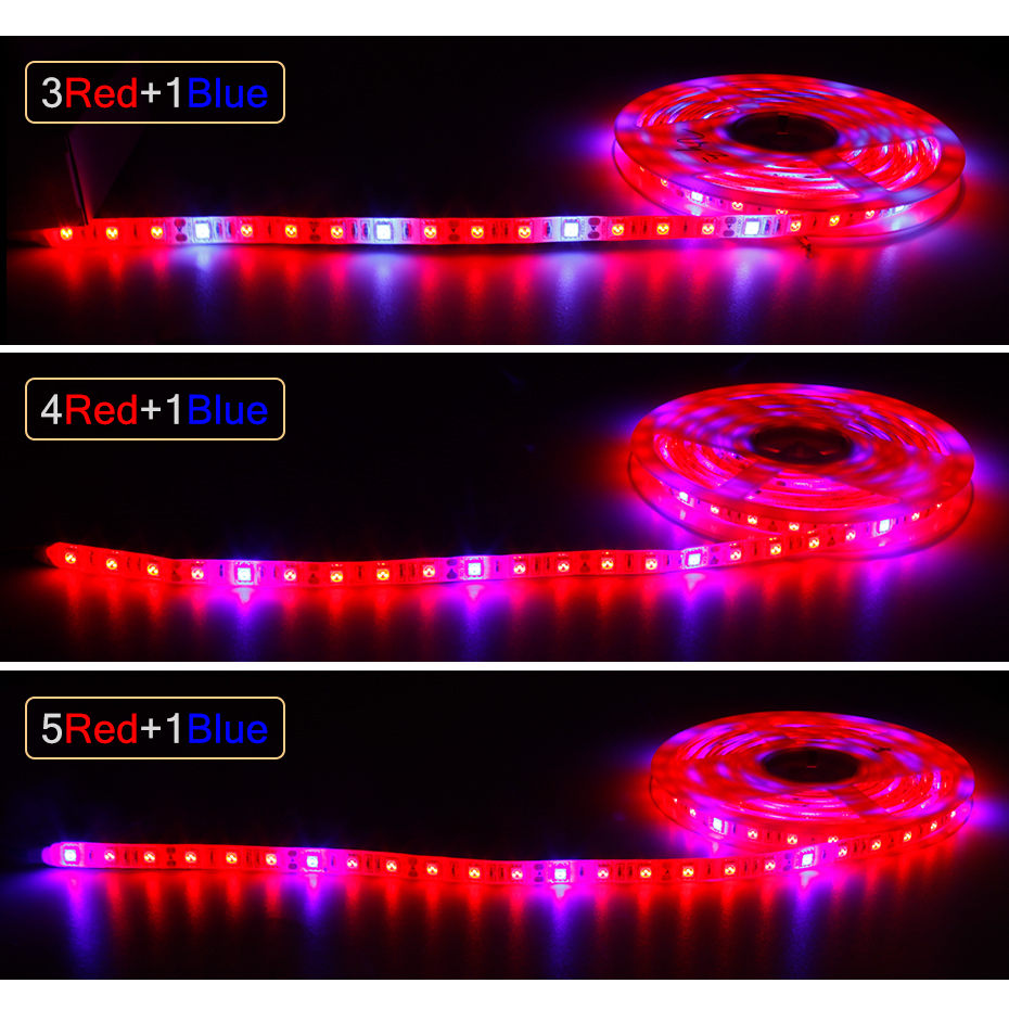 DC 12V LED Strip Grow Light Fu - đánh giá và giá Led Plant Light Strip