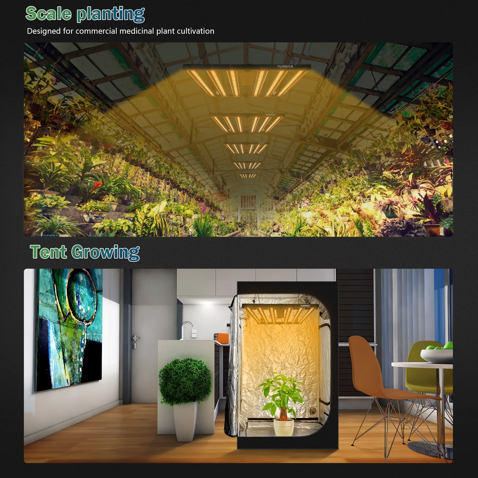 Topbrite DDP Service IP65 Sams - đánh giá và giá Led Plant Light Strip