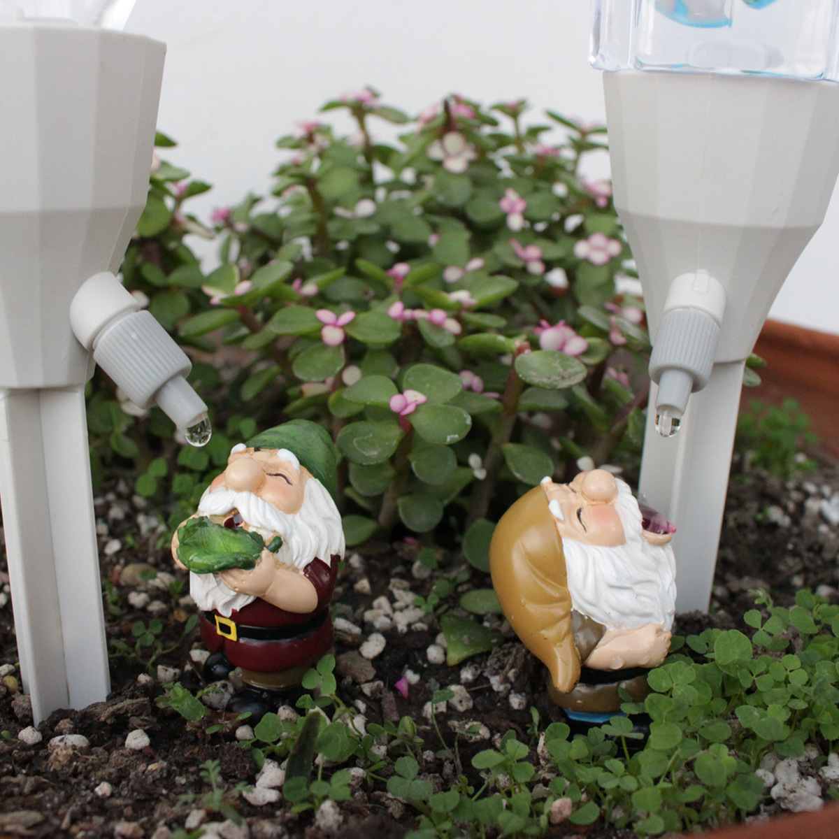 2 set Gnome Automatic Watering - đánh giá và giá Smart Garden Watering Can