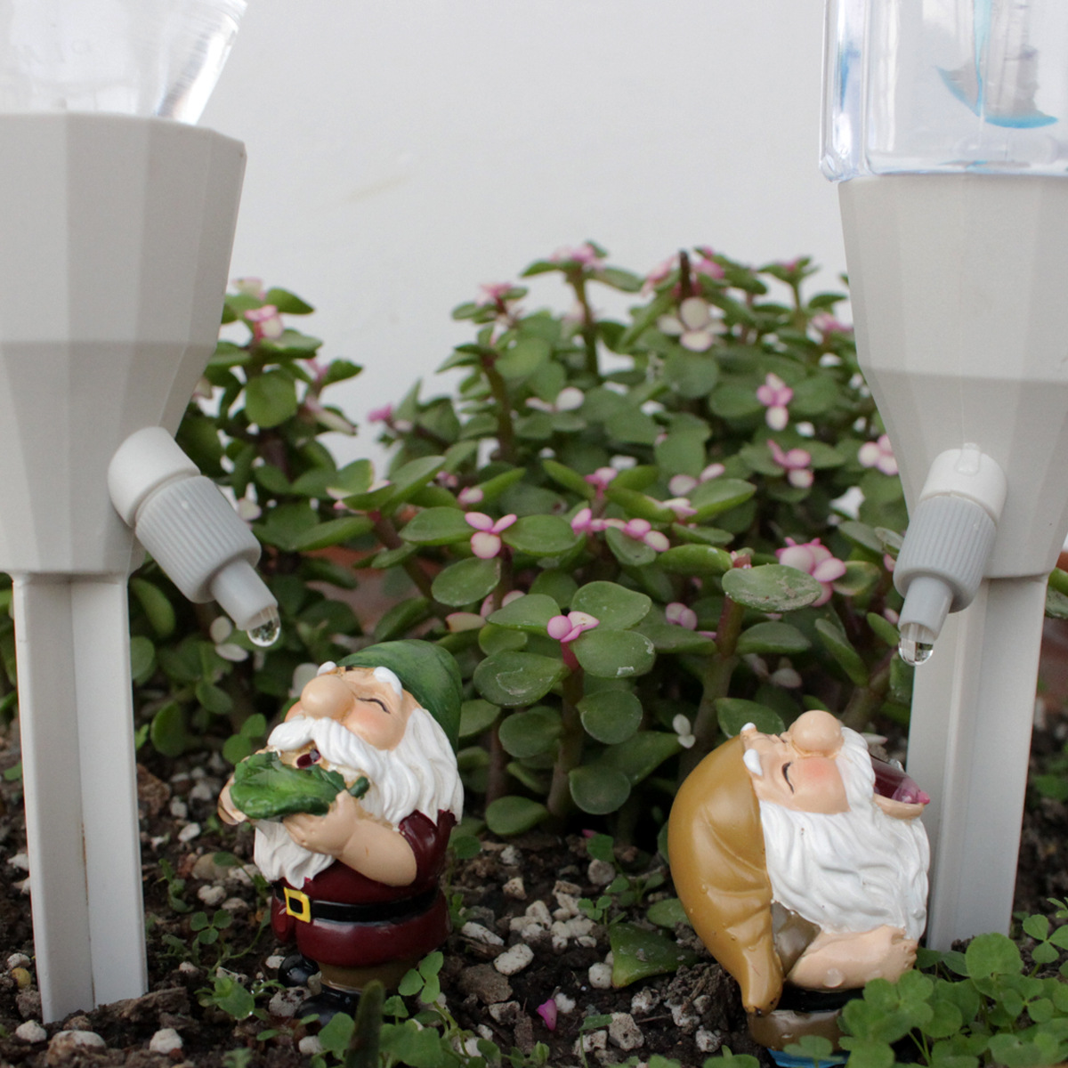 2 set Gnome Automatic Watering - đánh giá và giá Smart Garden Watering Can