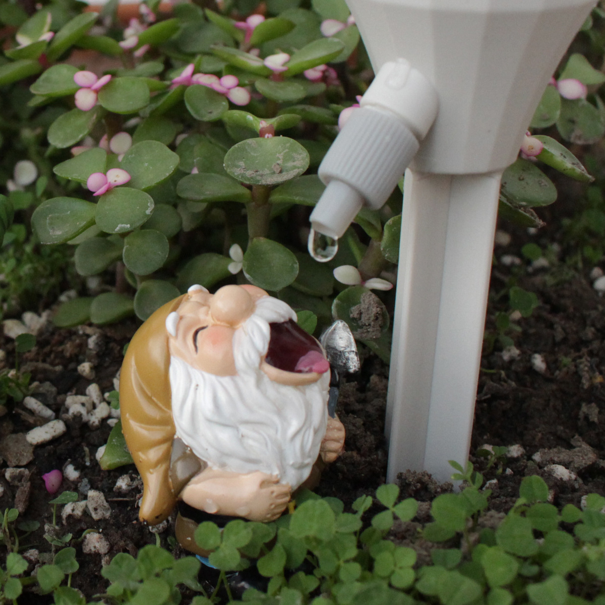 2 set Gnome Automatic Watering - đánh giá và giá Smart Garden Watering Can