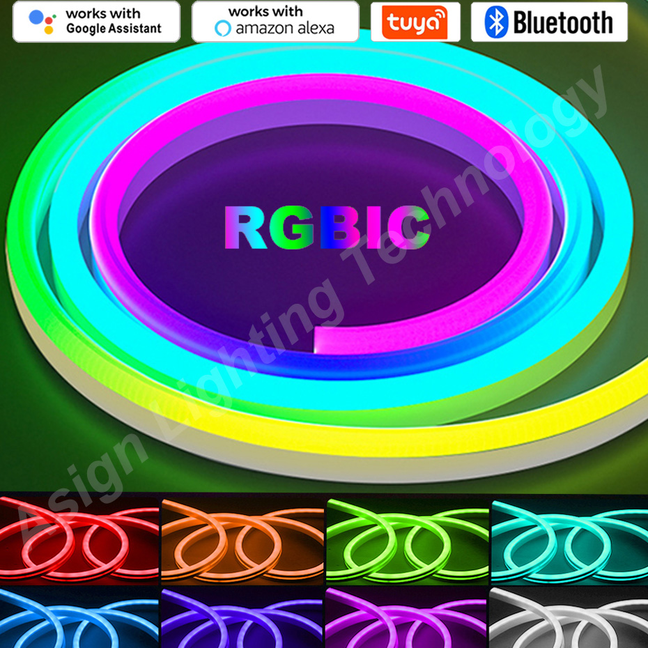 RGBIC LED Neon Strip 12V 96LED - đánh giá và giá App Smart Garden