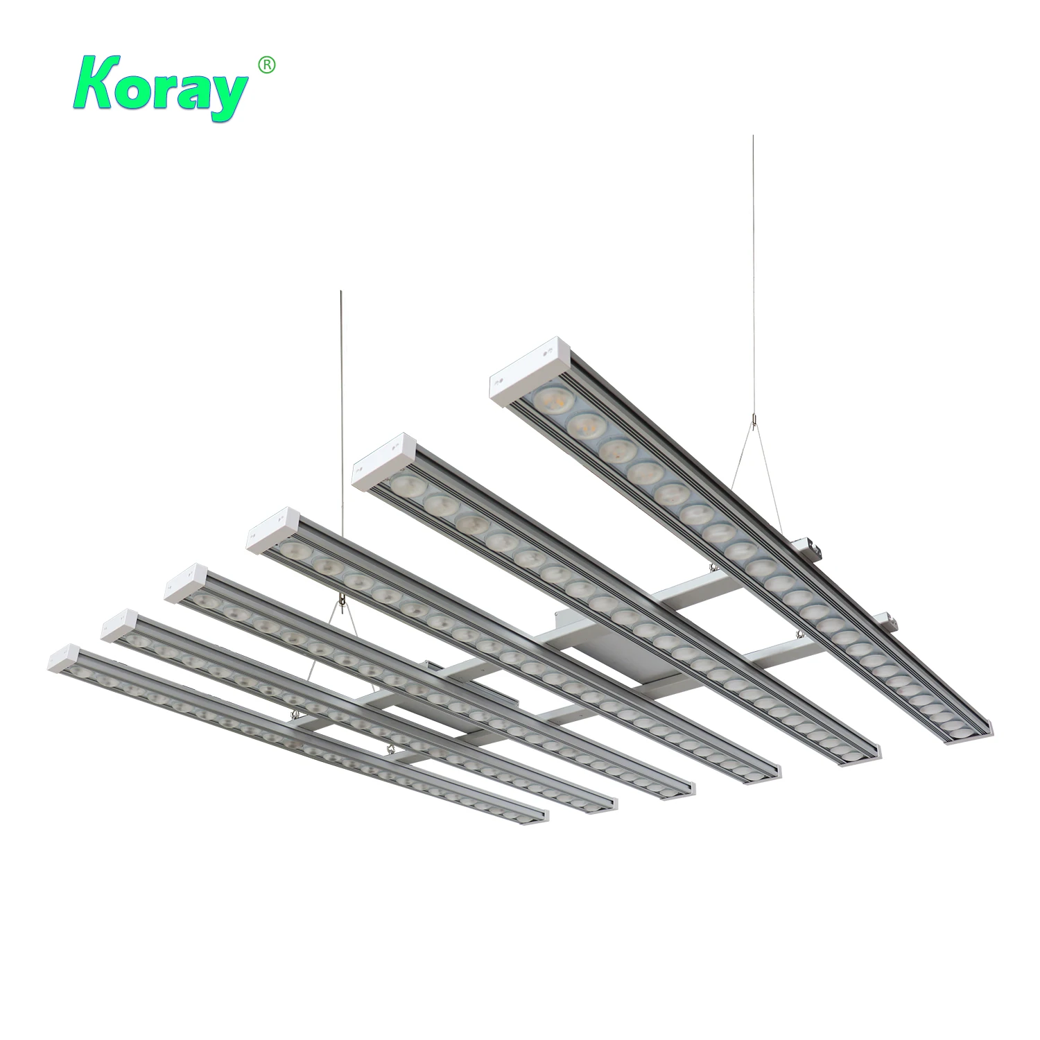 Koray 900W Indoor full spectru - đánh giá và giá Led Plant Light Strip