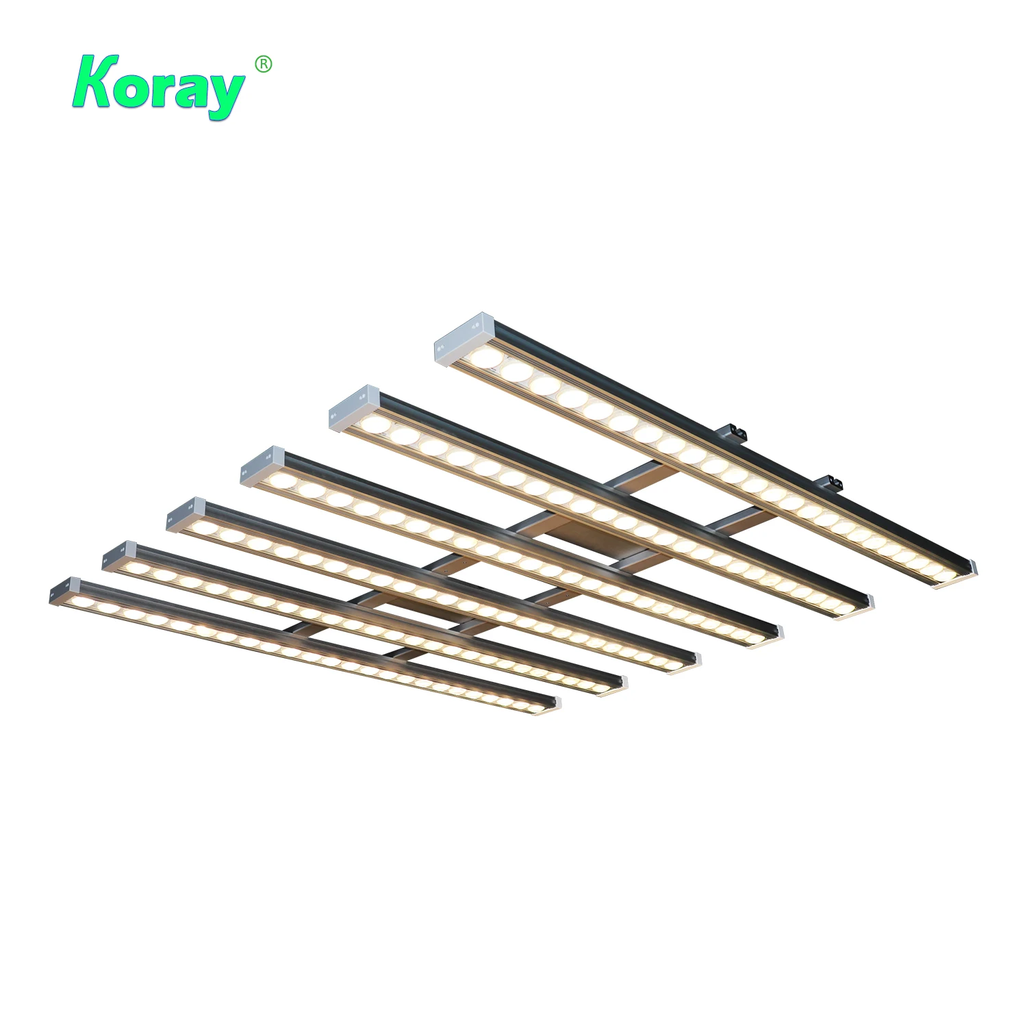Koray 900W Indoor full spectru - đánh giá và giá Led Plant Light Strip