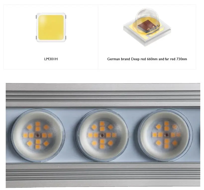 Koray 900W Indoor full spectru - đánh giá và giá Led Plant Light Strip